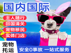 抚远机场快递国际宠物托运 【国